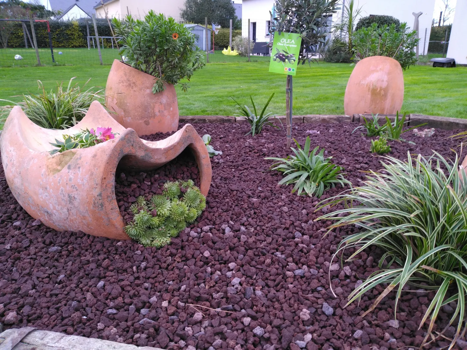 amenagement de jardin ambon