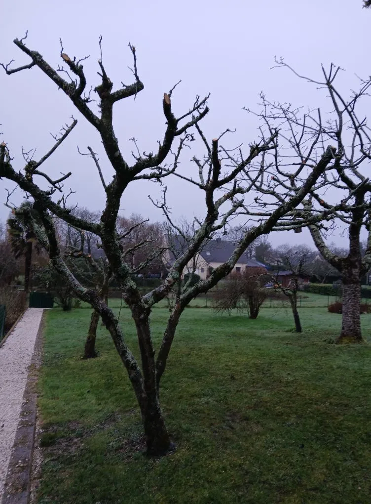 amenagement de jardin peaule