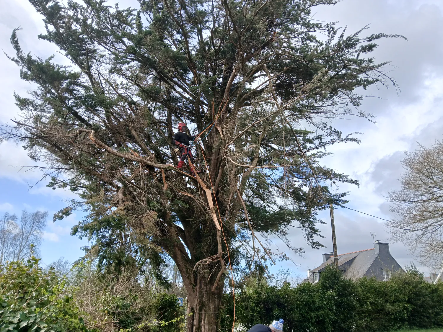 amenagement de jardin sarzan