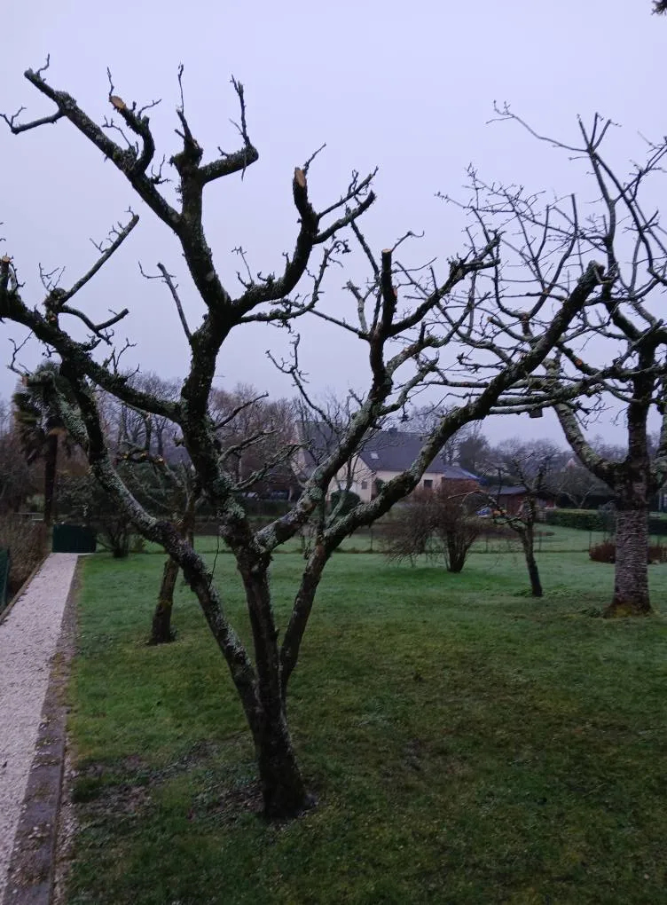 amenagement de jardin sulniac