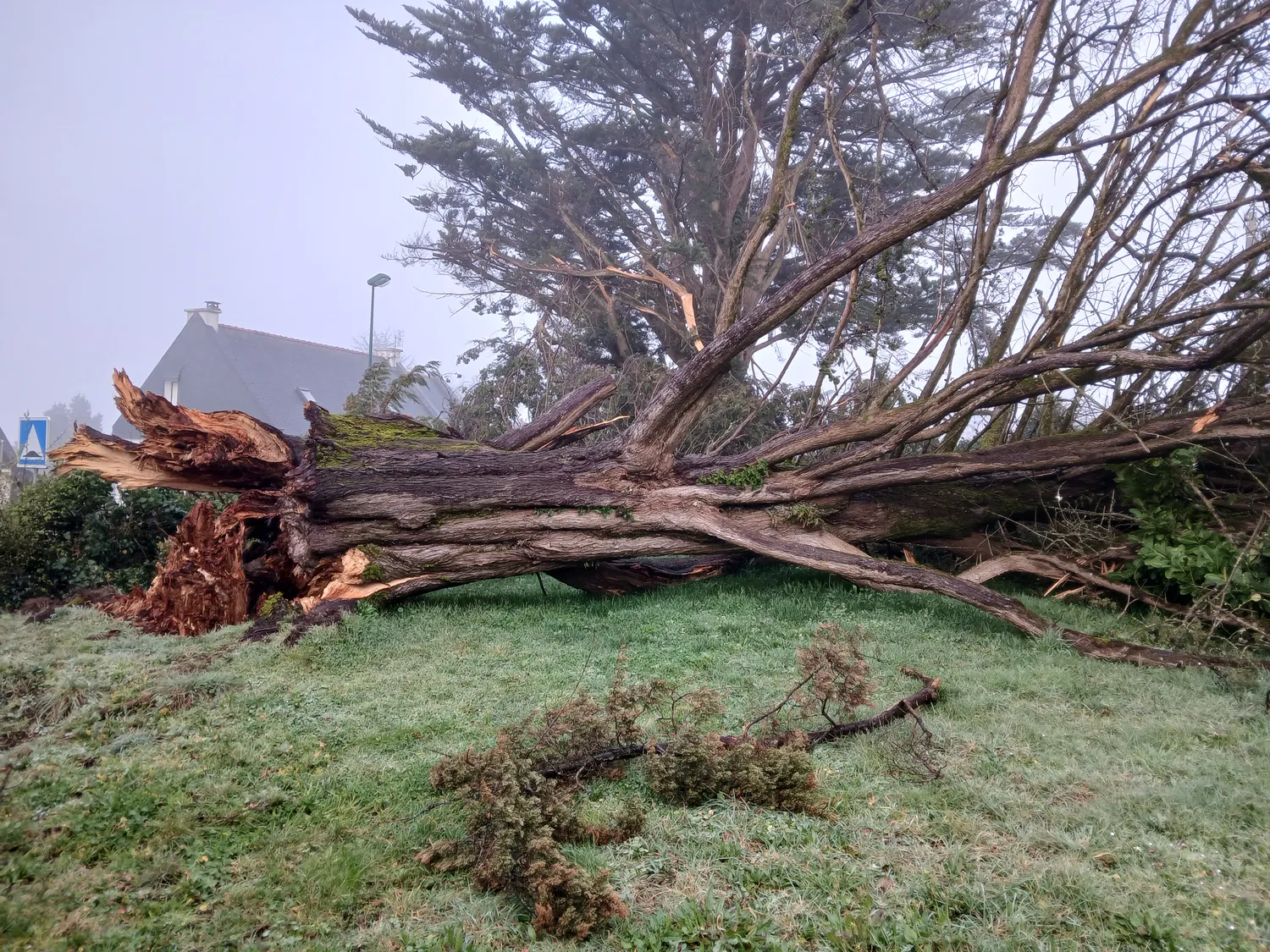 amenagement exterieur damgan