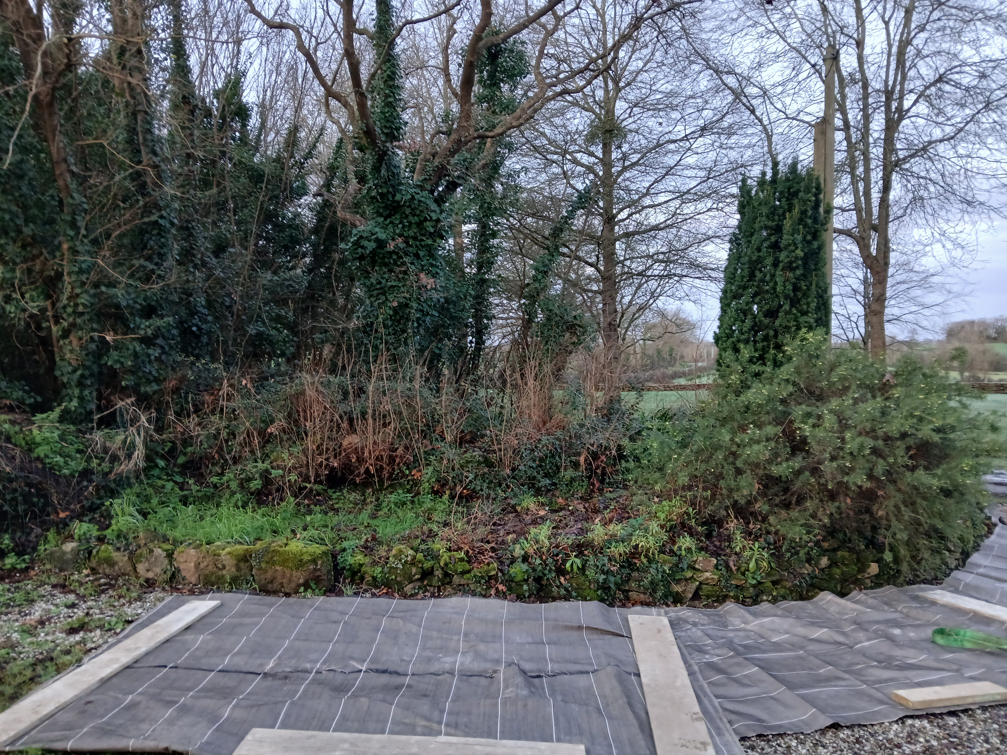 before-image